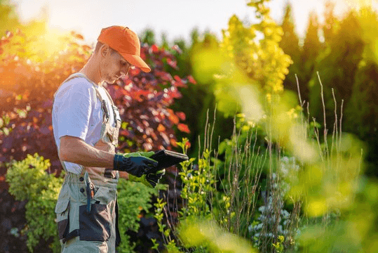 Landscaper reviewing a tablet in a garden