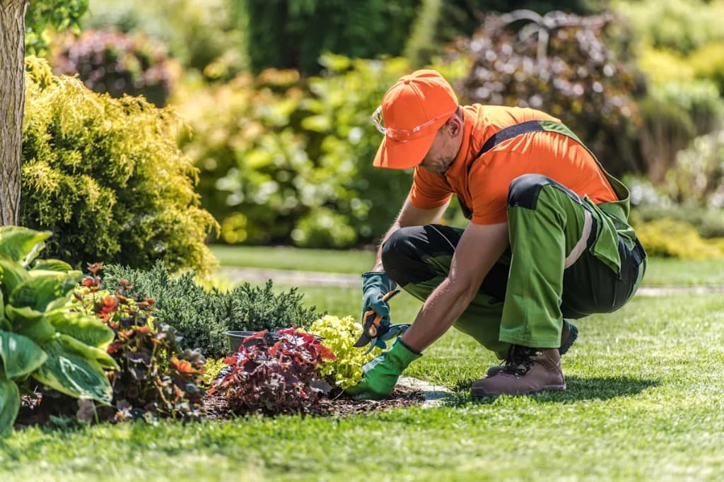 Landscaper tending a residential garden bed